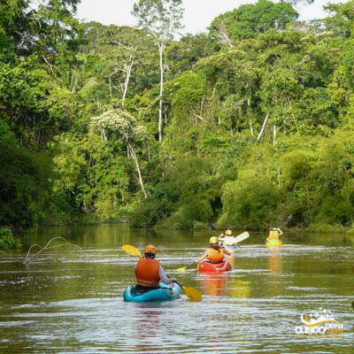 Tour En Tambopata Lago Sandoval 4 Dias