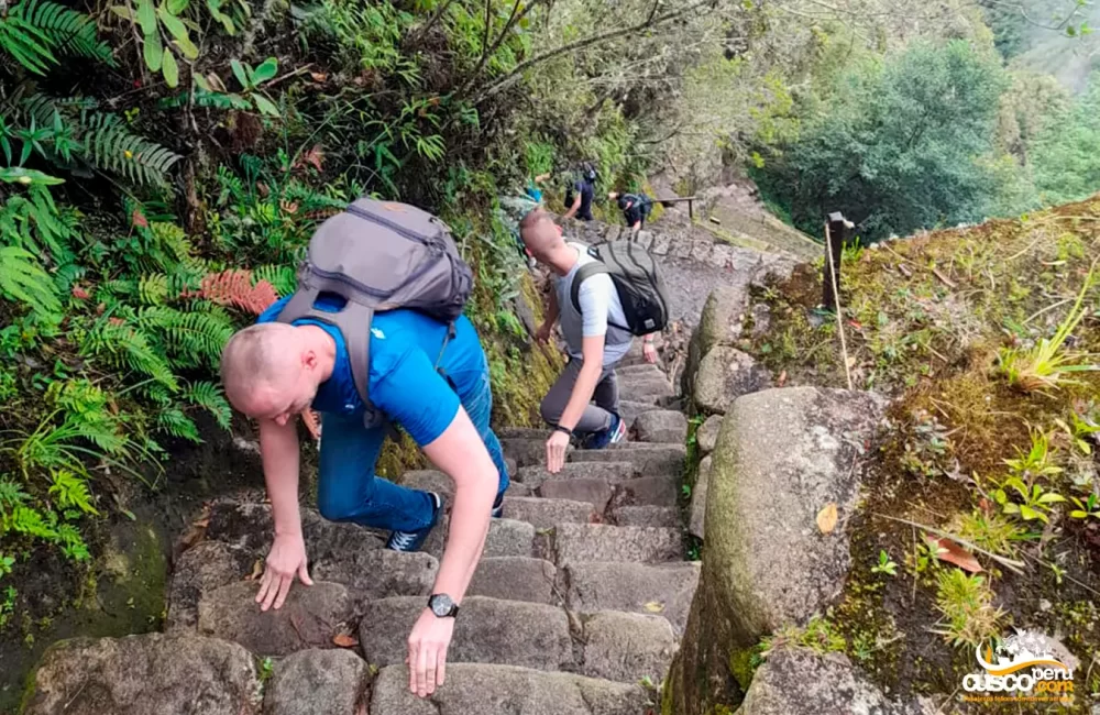 Stairs to Huayna Picchu