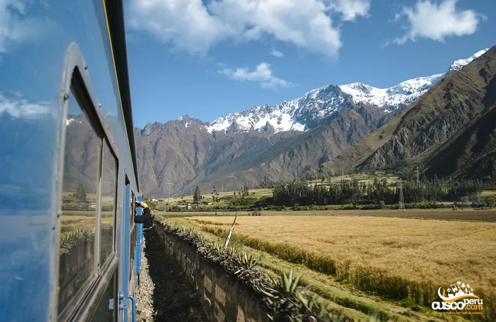 Viaje En Tren Hacia Machu Picchu