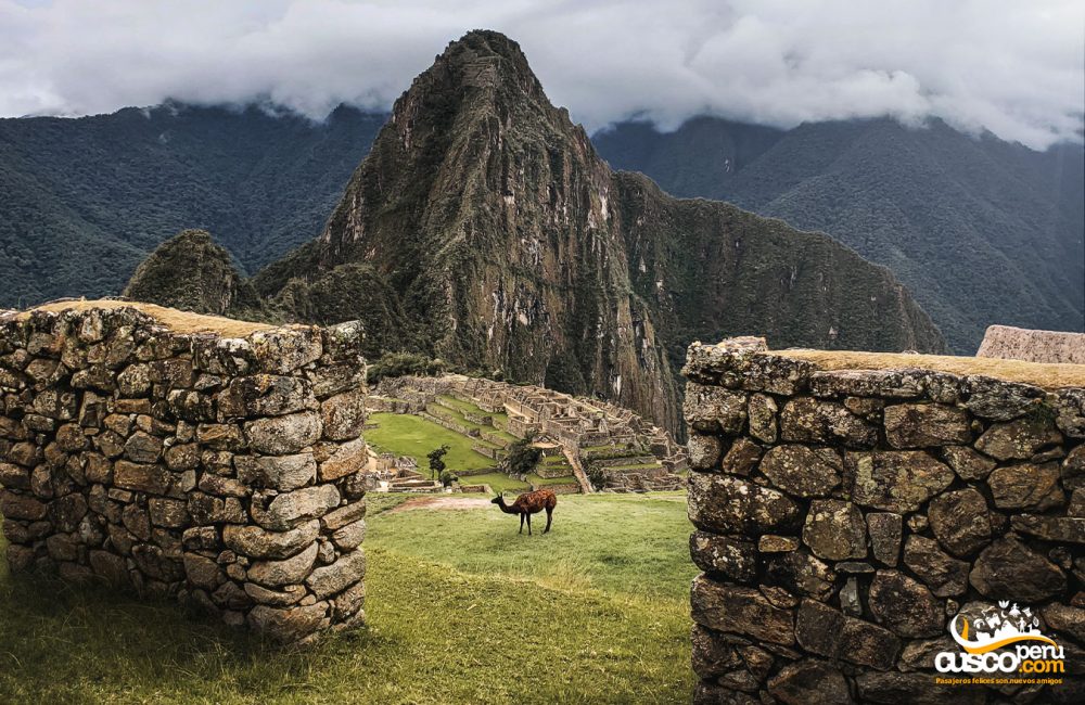 Vista de Machu Picchu a partir da casa do guardião