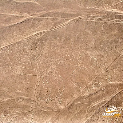 Figura de mono en la lineas de Nazca