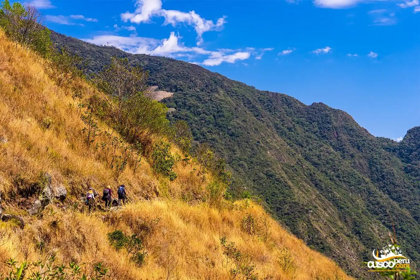 Trilha até Machu Picchu pelo Caminho Inca. Fonte: CuscoPeru.com