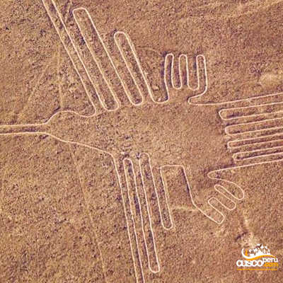 Colibri Lineas de Nazca