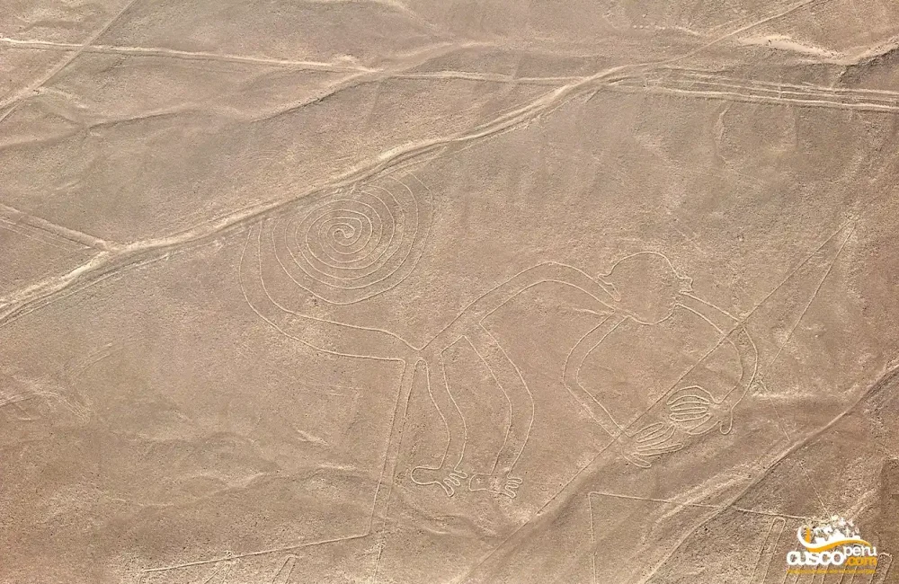 Monkey figure, Nazca Lines