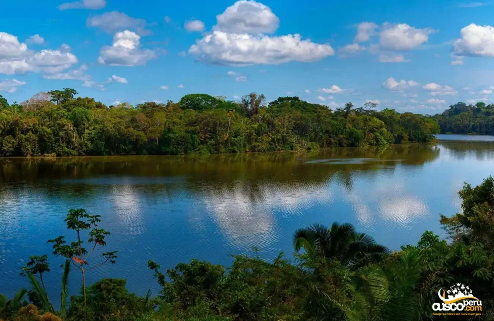 Reserva Nacional Tambopata