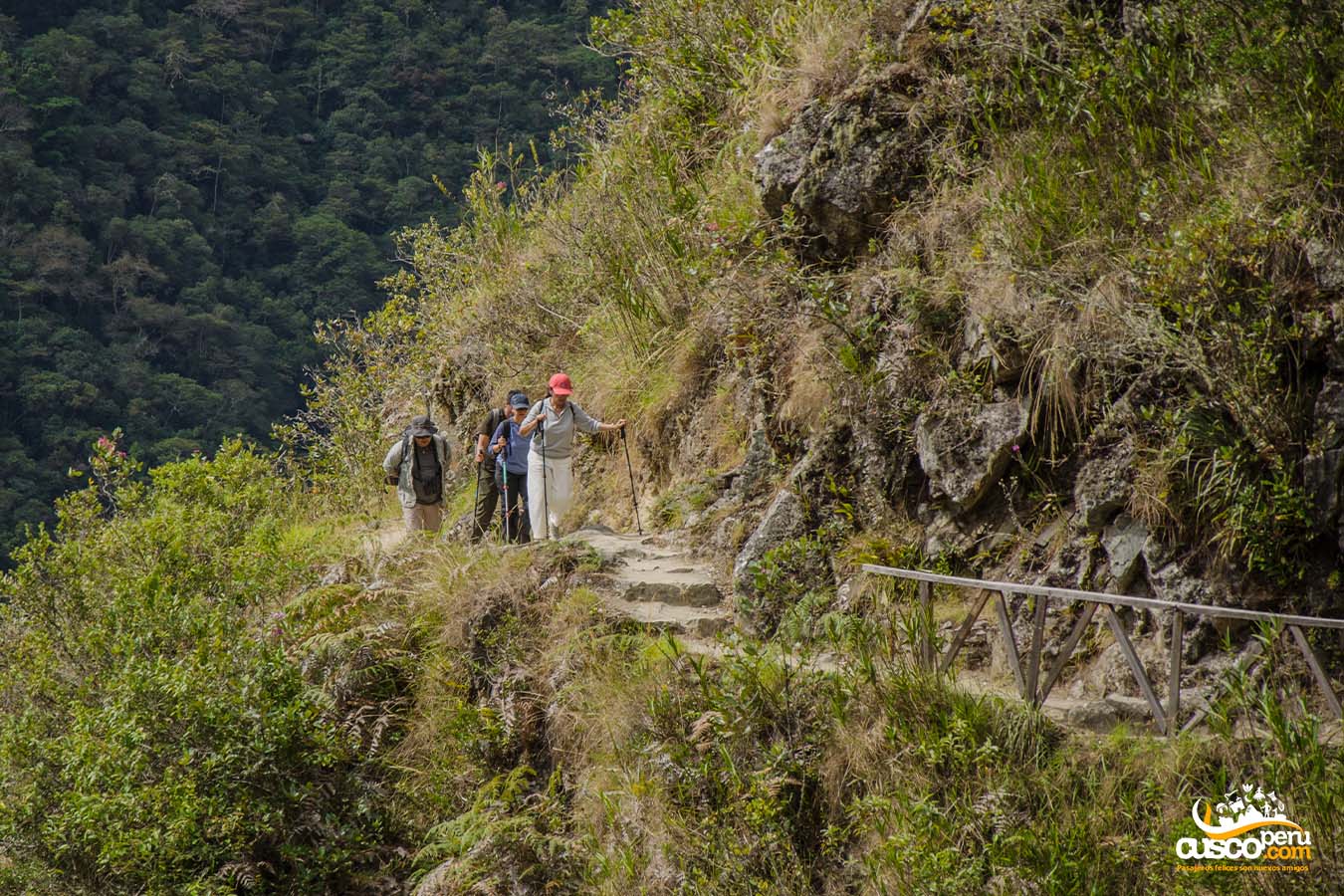 Wayllabamba Camino Inca