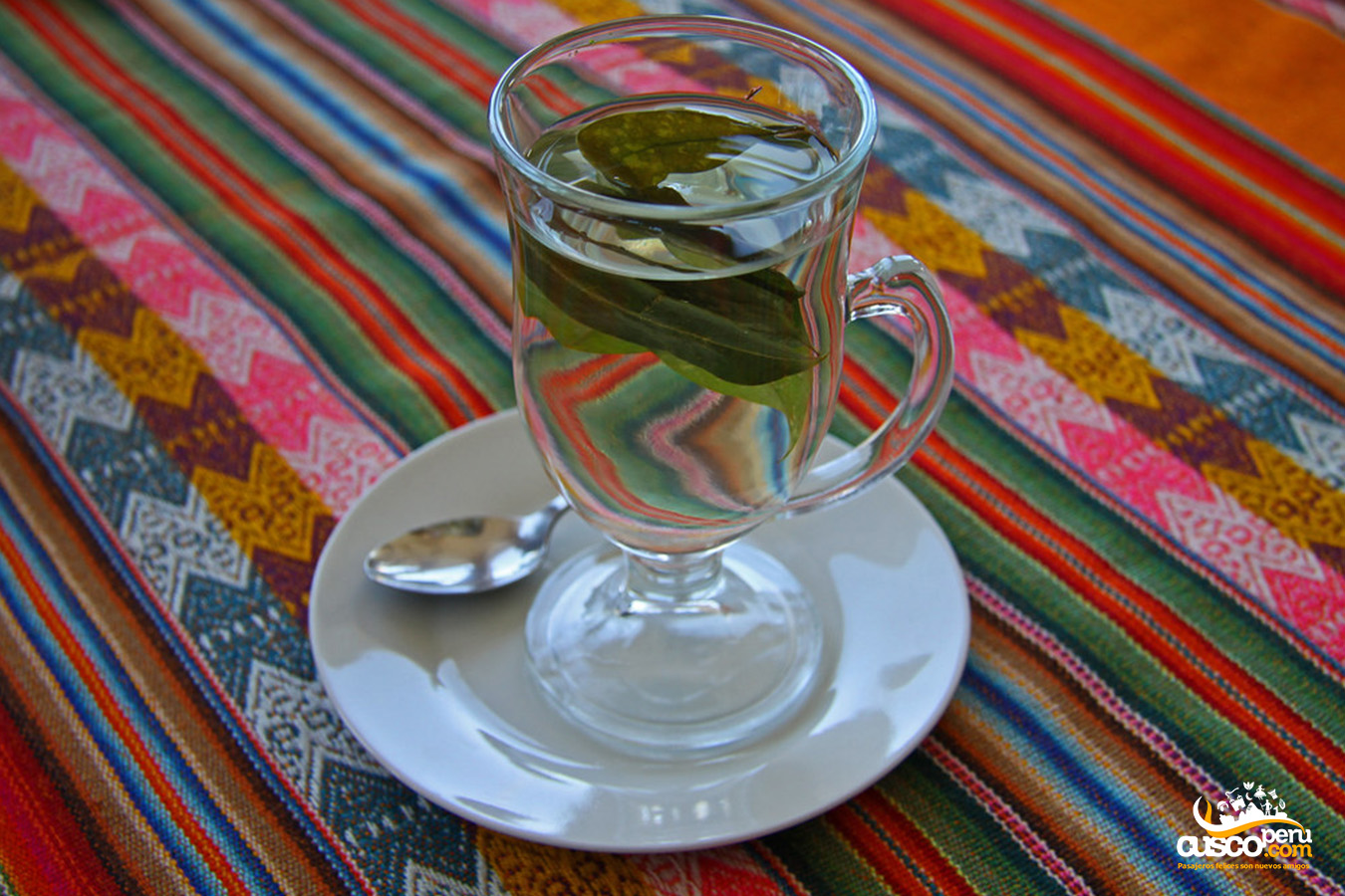 Coca tea. Source: CuscoPeru.com
