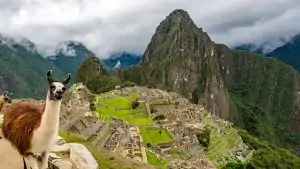 Machu Picchu