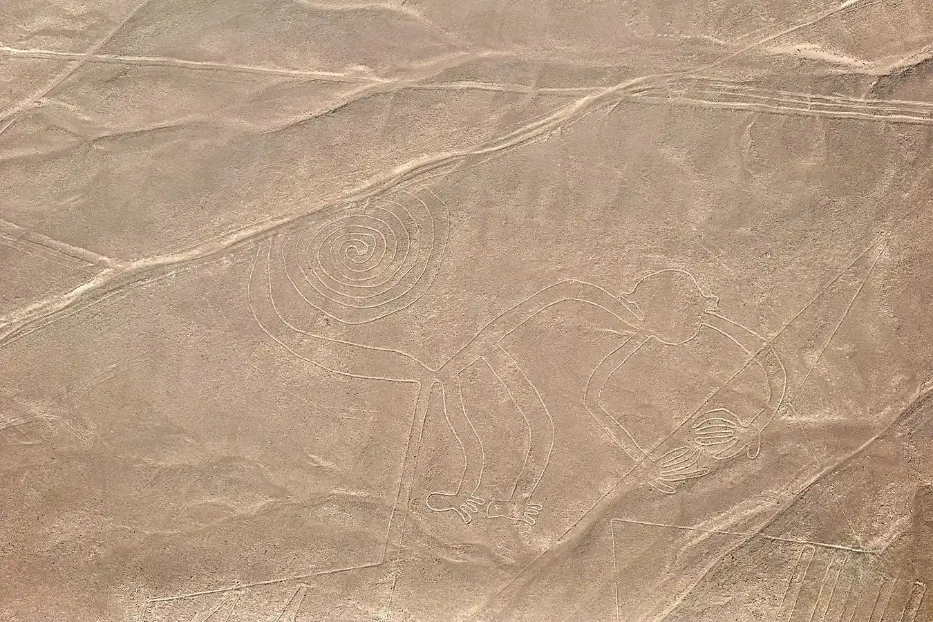 Monkey geoglyph in the Nazca Lines, Peru